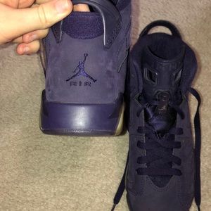 Purple dynasty Jordan 6